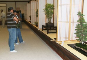 Hanford Bonsai Display Comp.