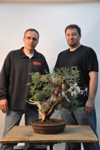 bonsai 5,6-09 037 bonsai 5,6-09 037