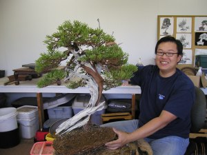 peter with bonsai