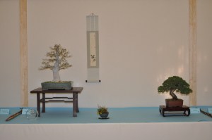 Members Choice Award medium deciduous/board leaf